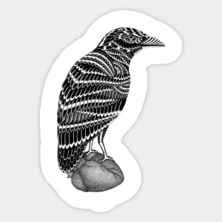 Crow Sticker